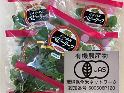 朝採れ 有機ミックスベビーリーフ50g 10袋 ブロッコリースプラウトg 10パック おまけ付き 宮城県産 食べチョク 農家 漁師の産直ネット通販 旬の食材を生産者直送