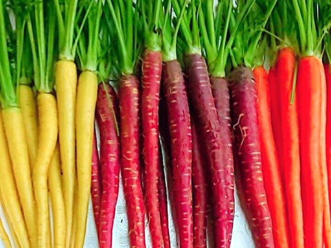 【常温便】レア野菜でキモチをUp！
『お試しS★カラダ喜ぶ初夏野菜セット5品目』