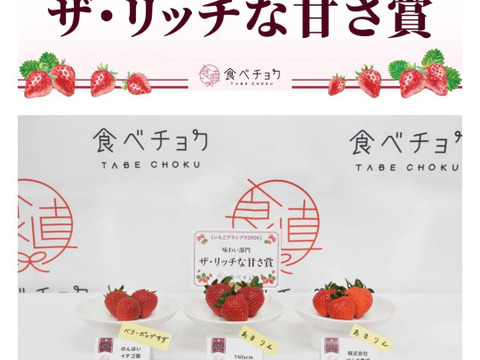 【4品種食べ比べ】【1品種はグランプリ受賞のベリーポップすず】園長おまかせ！ジュワっ～とおいしい「甘熟のんほいイチゴ」（1箱4パック入り1000g）【いちご食べ比べ】