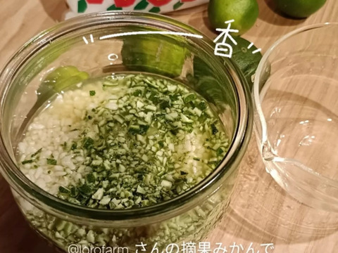 【青い高根島みかん】10月の摘果みかん【5kg】