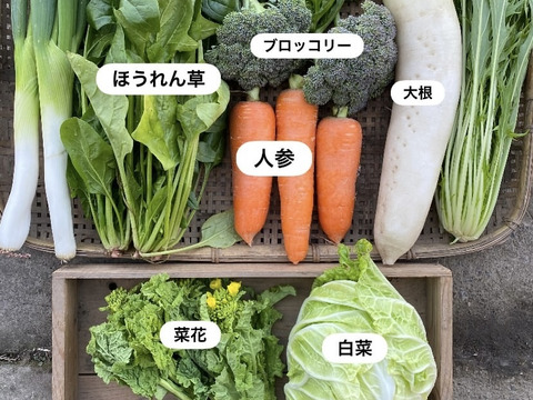 【数量限定】最旬の1品おまけ付！農薬不使用野菜セット(6品)/レシピ付き