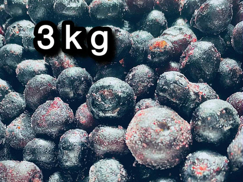 【道産自然栽培】冷凍ブルーベリー•3kg（古参品種ミックス）※まとめ買い対応