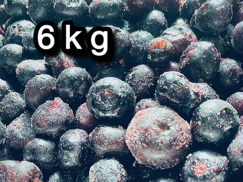 【道産自然栽培】冷凍ブルーベリー•6kg（古参品種ミックス）※まとめ買い対応