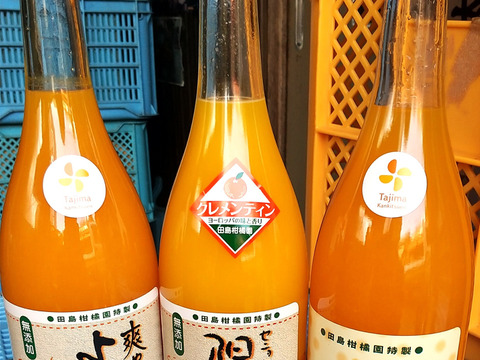 【飲み比べセット】セニョリータ陽子・がんちゃん・爽やかよしこの３本セット