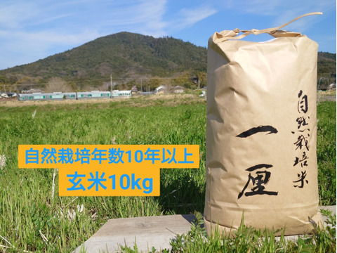 自然栽培米　一厘（いちりん）　Ｓ　玄米１０ｋｇ１袋