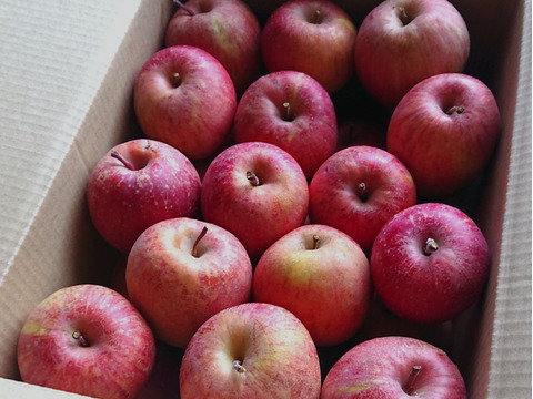 【 大特価🍎極小SSサイズ以下 】軽めのデザート・加工用  サンふじ 訳あり 24～28個 4㎏ 相当