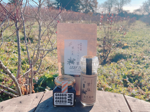 【福袋】オススメジャム・ブルーベリー葉のお茶・ハーブソルトのセット　※まとめ買い対応