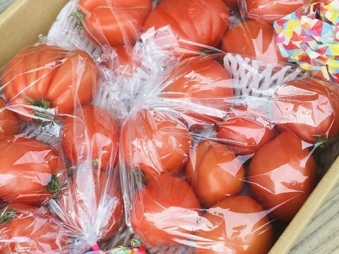 （専用）【旨トマト3kg＋牛の心臓3kg】