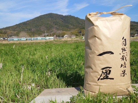 自然栽培米　一厘（いちりん）　Ｓ　玄米１０ｋｇ１袋