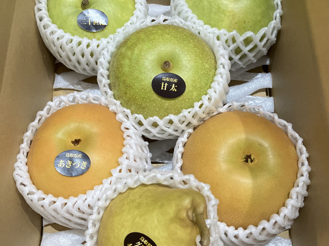 【鳥取県産】和梨・洋梨食べ比べセット　約3kg