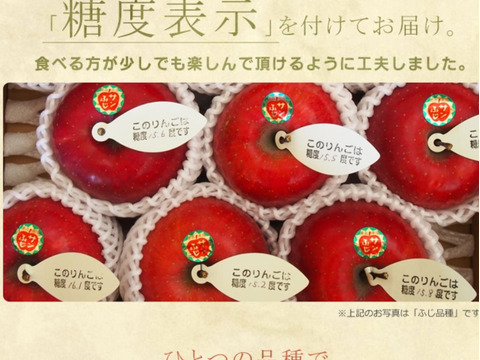 定番の味　THEりんご　家庭用サンふじ（５kg 13〜20個）