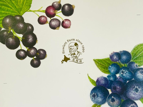古参品種ブルーベリーの葉のハーブティー（徳用サイズ：50g） ※まとめ買い対応