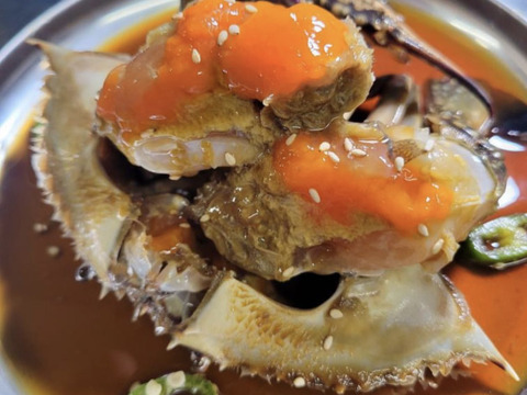 【内子解禁】日間賀島産ワタリガニ雌【2kg】
採れたら即・浜茹で発送｜濃厚内子入り
鍋・蒸し・蟹味噌和えに
【冬ギフト】【熨斗対応可】【一点物個体】