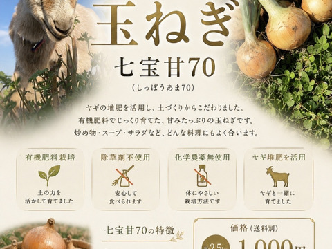 甘〜い　糖度11度　玉ねぎ　七宝甘70群馬県産　有機肥料栽培　化学農薬・除草剤不使用