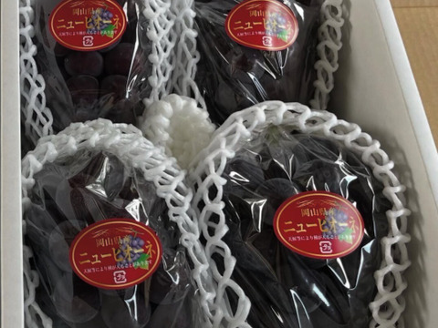 【2026年予約】岡山県産「ニューピオーネ」果汁たっぷり大粒種無し2kg以上(3～4房）