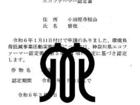 令和7年産　もち米（喜寿もち）5Kｇ　エコファーマー米「3名様限定」