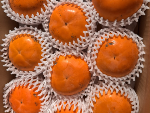 鳥取県新品種 柿「輝太郎」家庭用 3kg