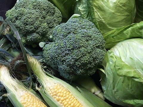 【お試しセット不定期】ニラ好き様😊中山間地域の美味しい季節の野菜とニラづくし便。80サイズ