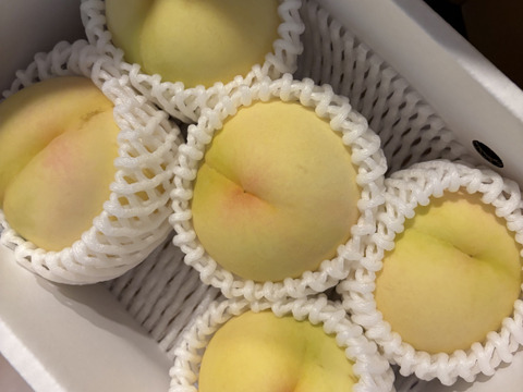 【クール便】(訳あり品)岡山白桃　1.4kg