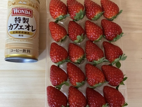 ならあかり　【いちご】500g 奈良県　いちご　苺　イチゴ