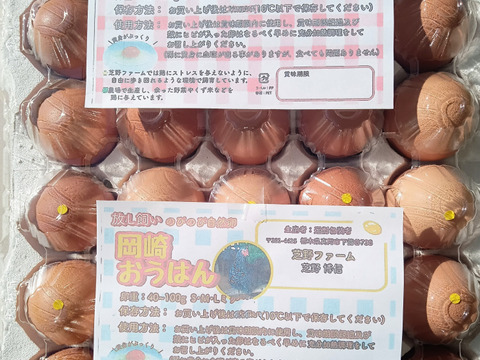 (常温便)出荷日当日の朝採り新鮮お届け致します☆　平飼い濃厚卵
純国産赤鶏あずさ:岡崎おうはん各30個計60個＋割れ保証