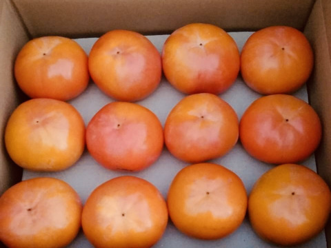 【贈り物＆ご自宅用/１０kg】吉野の富有柿/〜豊かな土と太陽から〜自然な甘みとみずみずしさが違います！