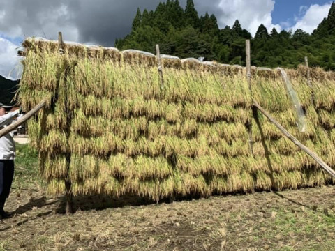 日本農業遺産認定 3年度 島根県 仁多米 5キロ