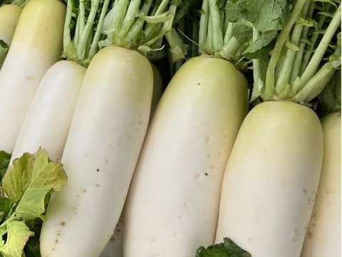 【丹波産】野菜を食べよう‼️冬の野菜詰め合わせセット‼️