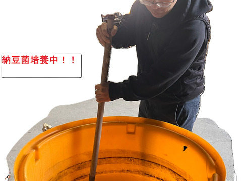 数量限定品！！　納豆菌（残留農薬不検出）淡路島産玉ねぎ　10ｋｇ