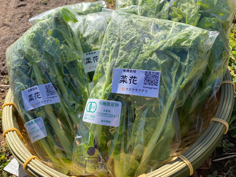 ≪予約販売≫☆有機JAS認証☆菜花100g×20袋セット2㎏【2月発送予定】