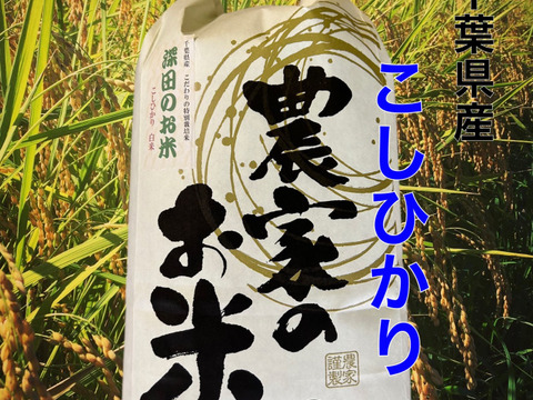 ✳︎新米✳︎令和7年度産★季節の野菜プレゼント付★【白米3キロ】クラフト袋入　　ふっくら・もちもち✴︎冷めても美味しい〜　【深田のお米】千葉県産コシヒカリ