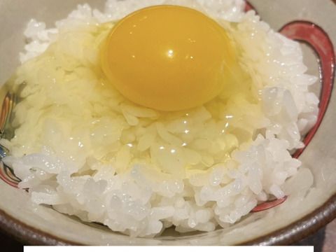 ＜5ぶ 精米＞特別栽培米「ヒノヒカリ」[ 1㎏ ]【令和5年米】
