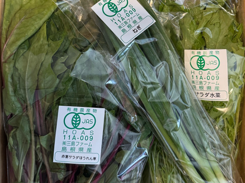 専用商品　チョク様 リピーターの皆さまにオススメ！】選べる！有機野菜セット（6種