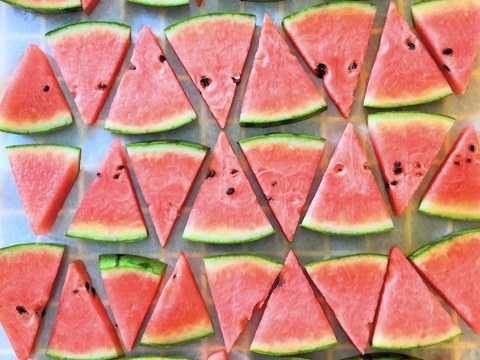 たっぷりドライフルーツ　尾花沢すいか