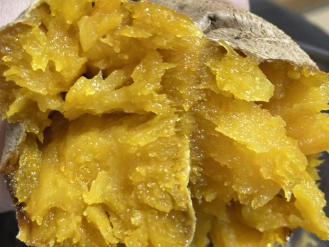 《予約販売》【熟成芋】希少な幻の安納芋🍠濃厚な甘味で蜜溢れ出る焼き芋が簡単に🍯プチサイズ「安納黄金」（4㎏）ひとつひとつ紙に包んで丁寧な包装で贈り物にも喜ばれます🎁熨斗OK【冬ギフト】お歳暮にも
