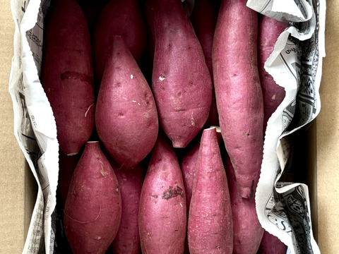 ちびちびサイズでもホックリサラリ‼︎「ゆきこまち」 2キロ箱