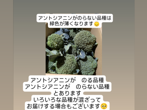 ２キロ入り小さいブロッコリー（５００グラム✕４袋✨️✨️）