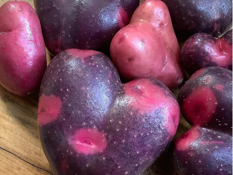 グランドペチカ、タワラマゼランなどのタワラシリーズ自然栽培じゃがいもミックス3kg