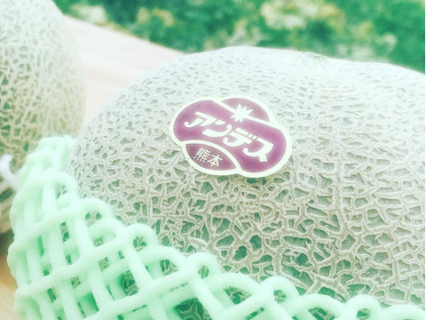 甘いんです！！『温室で育った完熟メロン』２玉入り🍈🍈