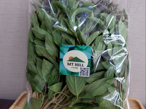 タイ料理が好きな方必見 タイハーブホラパー100g 愛知県産 食べチョク 農家 漁師の産直ネット通販 旬の食材を生産者直送