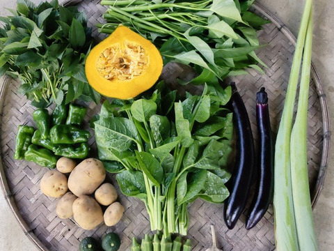 新鮮！旬の野菜セット Lサイズ　7～11品
「有機ＪＡＳ認証」