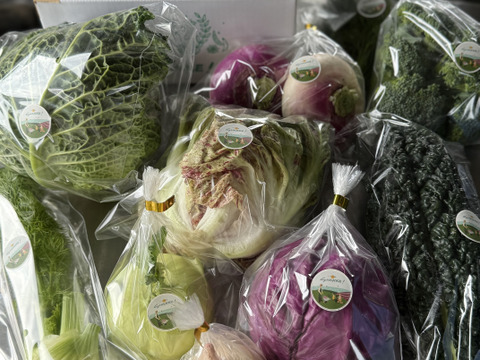 お料理の幅が広がる！季節の西洋野菜Italian selection 80サイズ