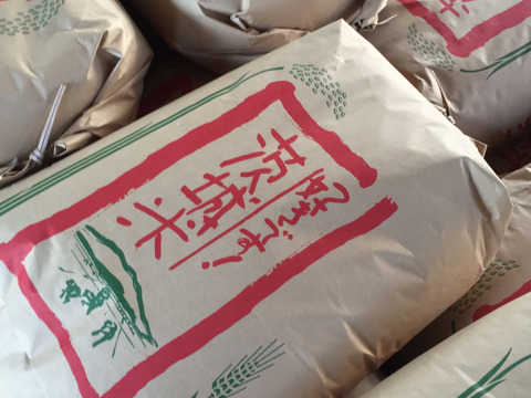茨城産こしひかり　15kg 大定番！！【令和8年度 新米】茨城県産コシヒカリ精米15kg 農家直送