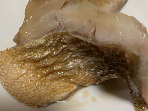 ［お買い得］釣りたて‼️ウスメバルBOX［沖メバル］鮮魚　『高級魚』