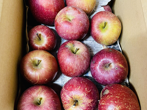 太陽の光を浴びた☆B級品サンふじ☆家庭用企画