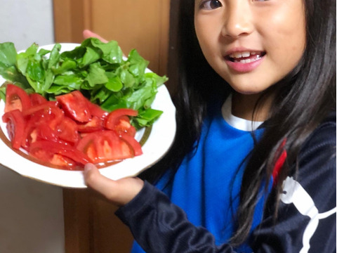 完熟！桃太郎トマト🍅4kg