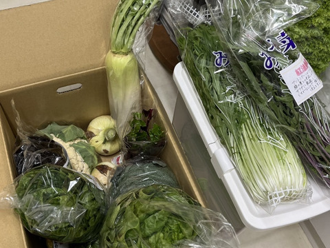 淡路島からの野菜6種❣️お任せセット(^-^)v❣️野菜セット