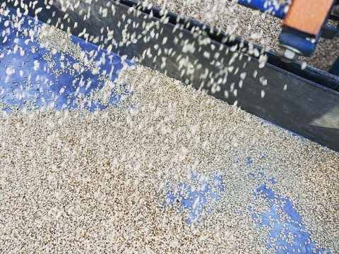 【餅米】令和7年度　新米【まんげつ】群馬県東吾妻町産　1kg（500g×2パック）