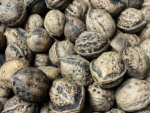 良質な脂肪酸がたっぷり！オニグルミのむきくるみ 家庭用 50g✖︎10パック