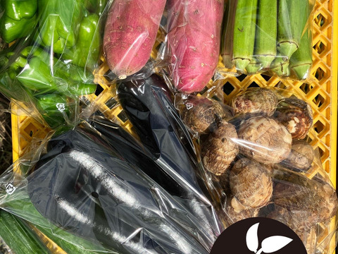 新鮮　野菜セット